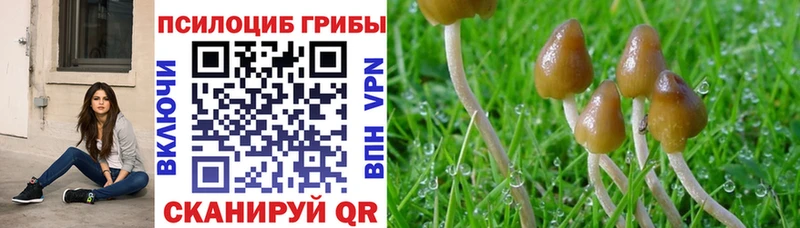 Псилоцибиновые грибы MAGIC MUSHROOMS Брюховецкая